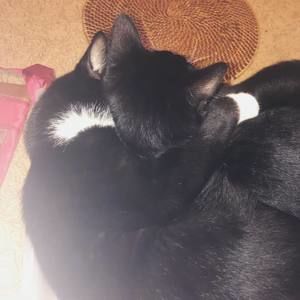 Meet your Posher, Maliah